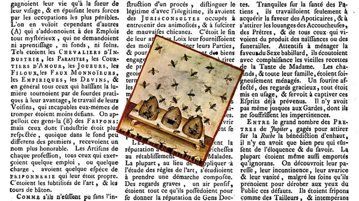 Image d'illustration