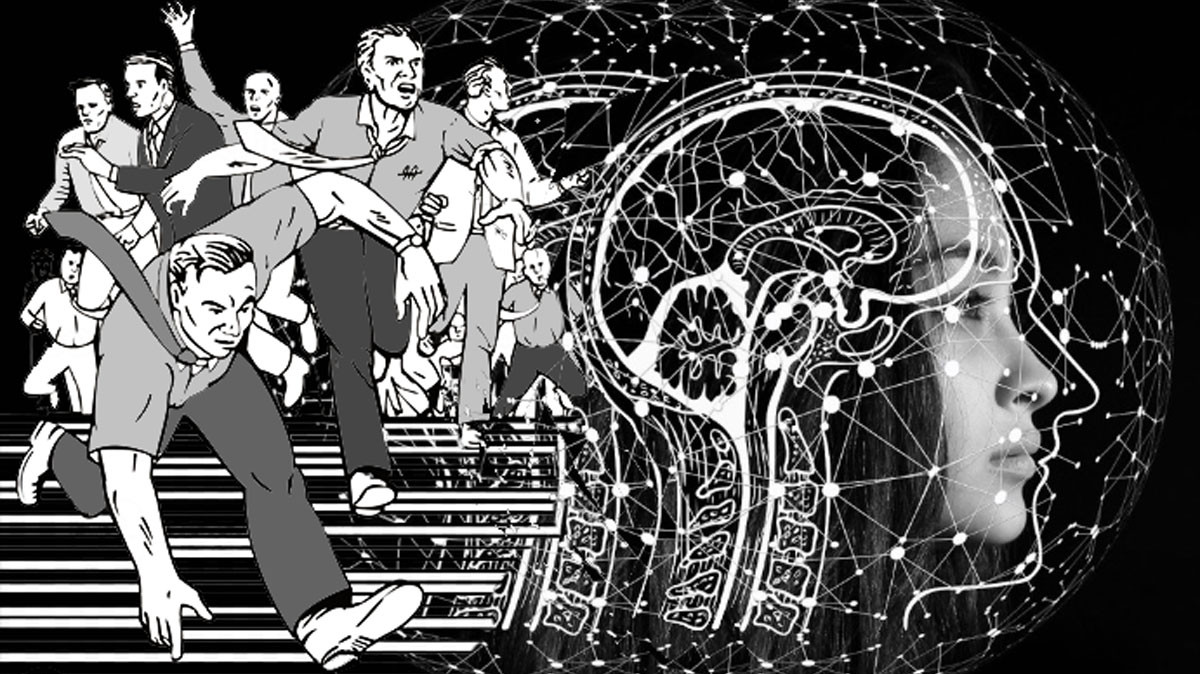Image d'illustration